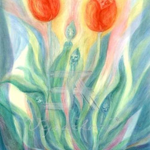 Obrázek - Tulipány