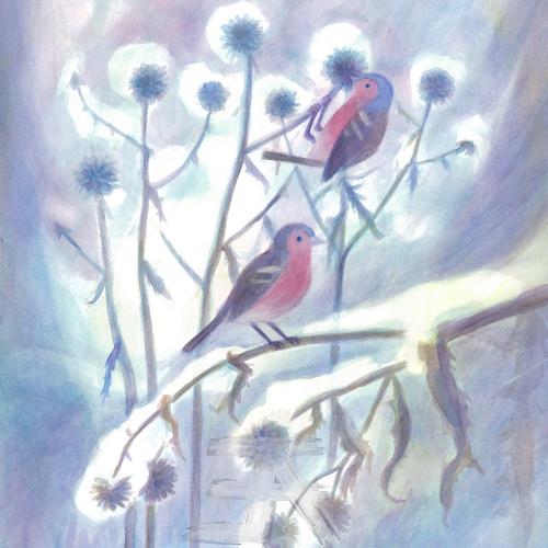 Obrázek -  Pěnkavy