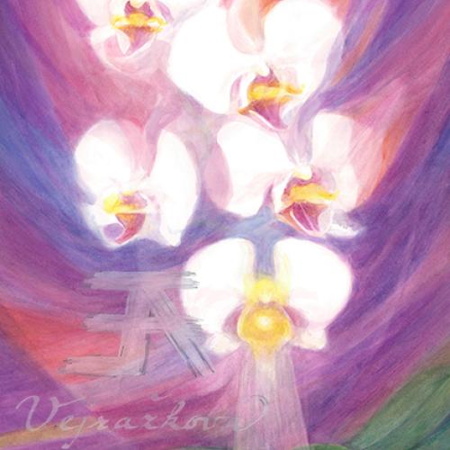 Obrázek - Orchidej - Andělský sestup