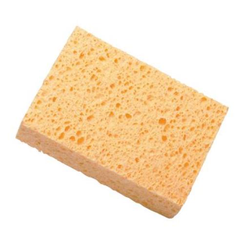 Houba k akvarelovému malování