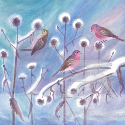 Obrázek - Bodláky v zimě