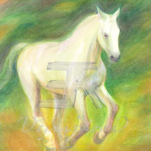 Obrázek -  Bílý běžící koník